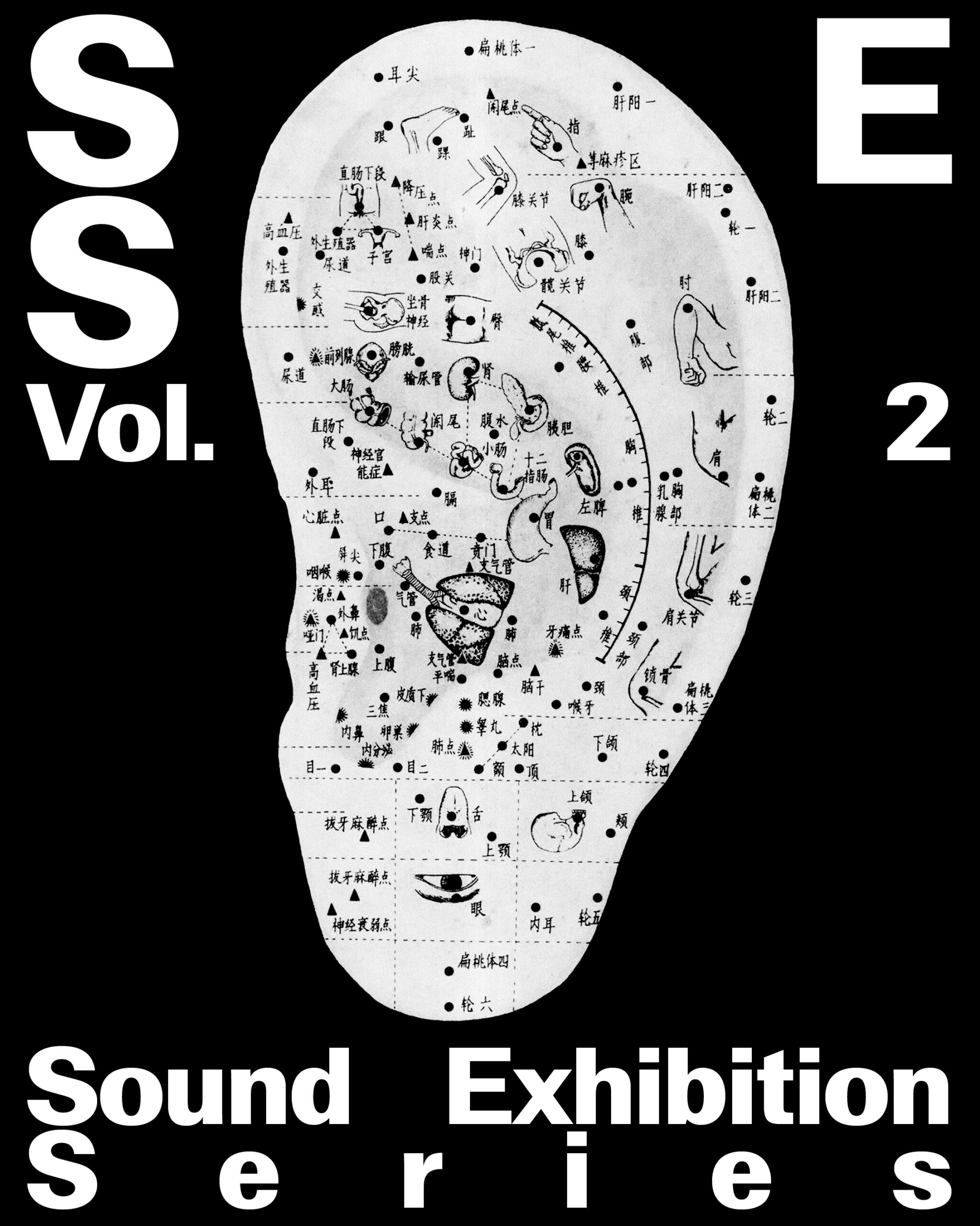Sound_Exhibition_Series_moids_project_00